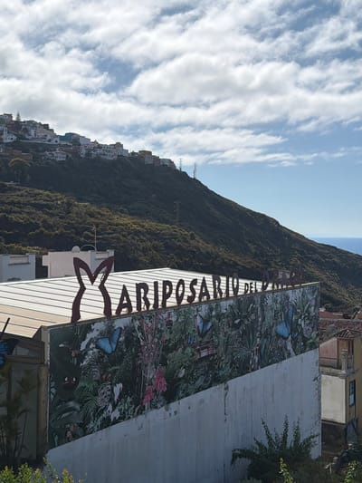 This is a landscape photograph taken in Icod De Los Vinos, Spain, featuring a building with a prominent sign that reads "MARIPOSARIO DEL DRAGO". The building is adorned with a mural depicting various species of butterflies and lush foliage. In the background, a hillside is covered in vegetation and dotted with houses, indicating a residential area. The sky above is partly cloudy with a clear blue horizon. The scene captures a sunny day with good visibility.