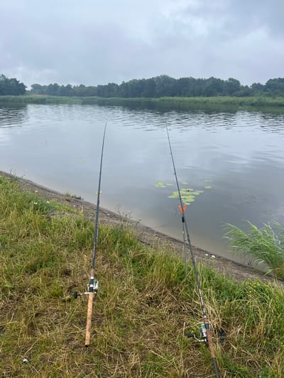 The image shows two fishing rods resting on the grassy bank of a body of water. The rods are positioned on the right side of the frame, angled towards the water. One rod is closer to the foreground and appears to be a spinning rod with a reel. The other rod is further back and also has a reel. In the water, there are lily pads scattered across the surface. The background reveals a lush green tree line along the opposite bank of the water. The sky appears overcast, suggesting a cloudy day. The scene is peaceful and depicts an outdoor activity, likely fishing. The location is identified as Skirvytė, Lithuania. No people are visible in the image. There is some text on the fishing rods but it is not clearly legible. The time of day is not discernible, but the overcast weather indicates it is likely daytime.