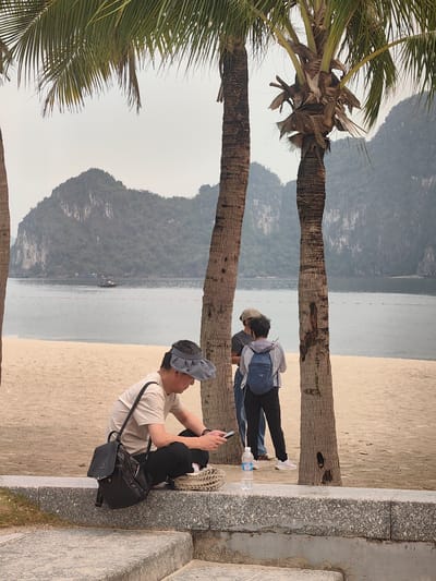 The image captures a serene coastal landscape in Ha Long Ward, Vietnam, featuring people relaxing amidst tropical scenery.
In the foreground, a man is seated on a granite ledge, his gaze directed downwards at his phone. He wears a light-colored short-sleeved shirt, black pants, and a grey sun visor. A black backpack is positioned next to him on the ledge, and a clear plastic bottle of "Aquafina" water is visible nearby. His right foot, clad in a patterned sneaker, rests on a woven straw object.
Behind him, on a light sandy beach, two other individuals stand between two large palm tree trunks. One person, seen from the back, wears a light jacket and a blue backpack, holding what appears to be a phone. They seem to be engaged in conversation with a partially obscured person standing closer to the tree, wearing a hat and a darker shirt.
The background features a calm, grey-blue bay dotted with a line of orange buoys and a small boat further out. Majestic limestone karst mountains, covered in greenery, rise from the water under a hazy, overcast sky, giving the scene a soft, diffused light. The prominent palm trees, with their textured trunks and green fronds, frame the composition. The overall mood is casual and relaxed.