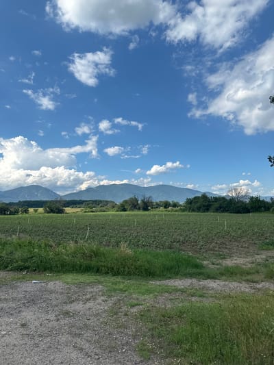 This media file depicts a rural landscape under a bright, cloudy sky. The scene is oriented vertically, suggesting it was taken with a phone in portrait mode and then rotated.
The main subjects are a vast expanse of sky filled with fluffy white clouds against a vibrant blue background, and a cultivated field that stretches towards a line of trees and mountains in the distance. The field appears to be planted with a low-lying crop, possibly agricultural in nature, with visible markers or stakes placed at intervals along its edge. To the right of the field, a gravel path or road is visible, bordered by grass and weeds. The background is dominated by layered mountain ranges, with the closest ones appearing green and forested, and those further away fading into a hazy blue.
The time of day appears to be daytime, likely mid-morning or afternoon, given the bright sunlight casting shadows and illuminating the clouds. The weather is fair and sunny, with scattered clouds contributing to a dynamic sky. The location cues, such as the cultivated field, mountains, and gravel path, suggest a rural or agricultural setting.
There is no discernible activity or event taking place; the image captures a static landscape. No people or animals are visible. There is no visible text within the frame. The overall mood evoked by the image is one of natural beauty, tranquility, and openness.