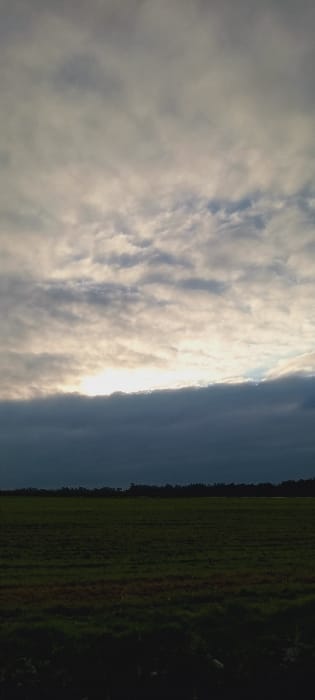 Clouds fill the left of the image with bright sunlight peaking through the center. To the right of the clouds is a thin strip of dark blue sky which meets a field of green grass. The right side of the grass is dark and shaded. The image is vertically oriented.