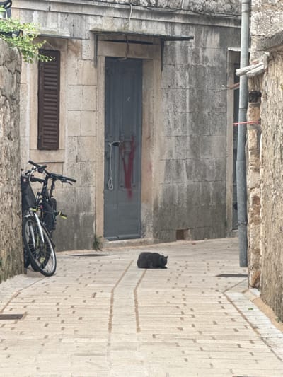 In the city of Grad Stari Grad, Croatia, a narrow cobblestone alleyway is depicted. The scene is dominated by weathered stone buildings on either side. On the left, a stone wall partially obscures a building with a dark, louvered window. Leaning against the wall are two bicycles, one a darker color with a visible front suspension and the other a lighter color with a green rim.

The right side of the alley features a textured gray stone wall with a large, dark gray door that has a red "V" shape painted on it. A white rope is tied to the door handle. A vertical metal pipe runs alongside this building.

In the middle of the alley, a dark gray cat is resting on the cobblestones, facing left. The cobblestones are laid in a pattern of rectangular stones with smaller square stones interspersed. The lighting suggests an overcast day.