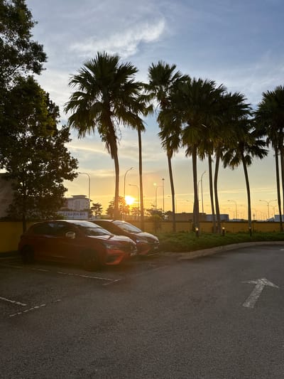 The image depicts a tropical sunset scene in Sepang, Malaysia. The foreground is dominated by tall palm trees with their fronds silhouetted against the sky. To the right, a dark asphalt road is visible, with a white arrow painted on it, indicating a direction. Several cars are parked along the side of the road, with the most prominent being a red car. In the background, there's a building with visible text that reads "ASIA SDN. BHD." A row of streetlights stretches across the midground. The sky is a gradient of soft blues and warm yellows, typical of a sunset, with some wispy clouds. The overall impression is one of a peaceful evening in a possibly urban or suburban tropical environment. The time of day is clearly sunset, and the weather appears to be clear and pleasant.