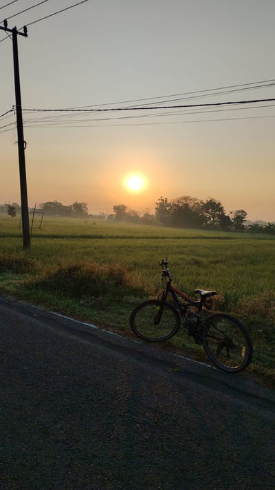 A bicycle rests on the side of a paved road next to a lush green field under a pale orange sky. The sun, a bright orb, is low on the horizon, casting a warm glow over the scene. A utility pole with multiple wires stands tall on the left side of the image. The field appears to be a rice paddy, with some vegetation growing along the edge of the road. The overall atmosphere is serene and peaceful, suggesting an early morning or late evening setting.