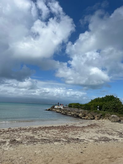 This is a medium shot of a beach on a partially cloudy day in Le Gosier, France. The beach has a rock seawall and the beach has a fair amount of washed-up seaweed. People are visible on the seawall.