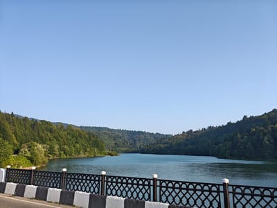 An eye-level, wide-angle shot captures a serene landscape view from what appears to be a bridge overlooking a tranquil lake. The foreground is dominated by a black metal ornate fence with diamond-shaped cutouts, supported by posts topped with white lights. The fence is situated behind a barrier made of alternating black and white rectangular blocks, with a section of asphalt road visible to the left.
Beyond the fence, a wide, calm body of blue water stretches into the distance, reflecting the clear, pale blue sky. The lake is framed by lush, rolling hills covered in dense, verdant forest. The trees appear to be a mix of deciduous and coniferous species, creating a rich tapestry of greens that slope down to the water's edge. The hills recede into the background, with the furthest ones softened by atmospheric haze.
The lighting suggests it is daytime, likely morning or late afternoon, given the clear sky and the soft illumination on the landscape. There are no people or animals visible in the frame, contributing to the overall sense of peaceful isolation. The location is described as Kharistvala, Georgia.