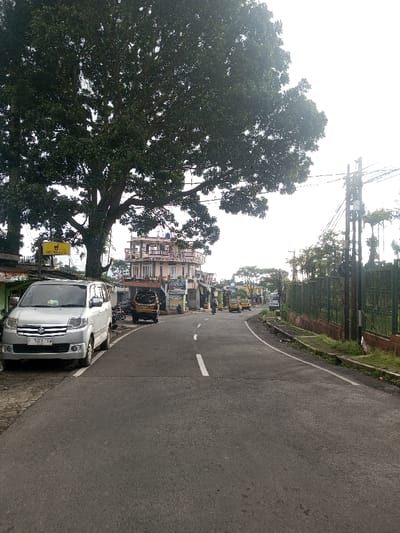 The image presents a street scene in Nuwara Eliya, Sri Lanka, under bright, diffused daylight conditions. In the immediate foreground on the left, a silver Suzuki APV minivan is parked, displaying Indonesian license plate F 1408 YW. Above and behind the minivan, a large, mature tree with dense green foliage dominates the upper left quadrant. A yellow rectangular sign with a dark graphic and partial text "SIN MA..." is visible near the tree. Behind the parked vehicle, a multi-story building with multiple balconies and light-colored architecture stands, partially obscured by the tree.
The asphalt road curves to the right, marked with dashed white center lines and a solid white line on the left edge. Further down the road on the left, two yellow three-wheeled auto-rickshaws are visible, along with a person operating a motorcycle moving away from the viewer. The right side of the scene features a green metal fence running parallel to the road, backed by dense green vegetation and several utility poles with numerous overhead wires. The sky appears bright white, indicating an overcast or hazy condition. No pedestrians are visible in the immediate foreground.
