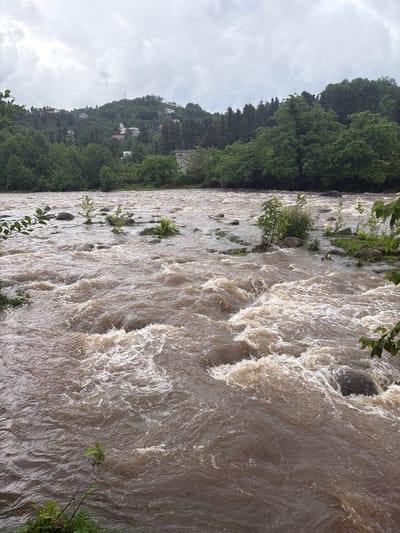 The image shows a turbid river flowing rapidly, likely due to recent heavy rainfall or flooding. The water is brown and churning, with visible whitewater. Along the riverbank, there is lush green vegetation. On the opposite side of the river, there is a hillside covered in trees, with houses visible among the trees. This is in the city of Kapreshumi, Georgia. The sky is overcast.