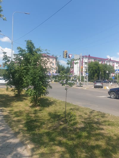 This image depicts a street scene in Petropavl, Kazakhstan, on a sunny day. The focus is on a traffic intersection with a pedestrian crossing. A traffic light with yellow and red signals is visible, indicating a potential stop. A small tree with lush green foliage stands near the sidewalk, casting a shadow on the grass.
In the background, several multi-story buildings with red and white facades line the street. One building appears to be an apartment complex, while another might be a commercial establishment. Cars are present on the road, with one vehicle, possibly a dark-colored SUV, stopped at the intersection. A silver hatchback is also visible further down the road.
The sky is a clear blue with a few scattered white clouds, suggesting fair weather. The time of day appears to be daytime, likely late morning or early afternoon, given the bright sunlight and the length of the shadows. The scene is a typical urban environment, with paved roads, sidewalks, and grassy areas.
No explicit text is clearly legible in the image, although there are signs at the intersection, likely traffic or directional signs, which are too small to read. The overall mood of the image is neutral, capturing a mundane moment in an urban setting.