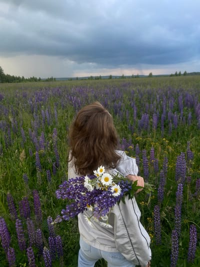 A person stands facing away from the camera in a field of purple lupine flowers. The person holds a bouquet of lupine and daisies. The sky above is cloudy and dark, with hints of rain. The location is identified as Kuyeda, Russia.