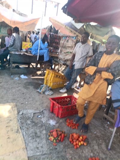 This image depicts an outdoor market scene in Kawaji, Nigeria, under bright daylight. The ground is a mix of dirt and uneven concrete, scattered with debris.
In the foreground, piles of red and orange produce, consistent with tomatoes and peppers, are arranged directly on the ground. A red plastic crate sits near these piles. To the immediate right, a young individual, possibly male, wears a mustard yellow long-sleeved tunic and matching trousers with a dark patterned jacket. He stands with arms crossed, facing slightly right. A purple crutch is partially visible in the bottom right corner.
Behind this individual, a man in a light-colored striped shirt and blue jeans stands, leaning slightly, observing the scene to his left. Behind him, two yellow plastic crates labeled "KANA" are stacked. Further left, on a wooden bench or stall structure, three men are seated. One man in a light blue traditional garment (agbada) sits looking downwards, while two others are partially visible, one facing away from the camera in a plaid shirt.
The background features multiple makeshift market stalls with canvas or tarp coverings providing shade. These structures show signs of commercial activity, including faint signage. The overall environment is active and somewhat cluttered, characteristic of a bustling market.