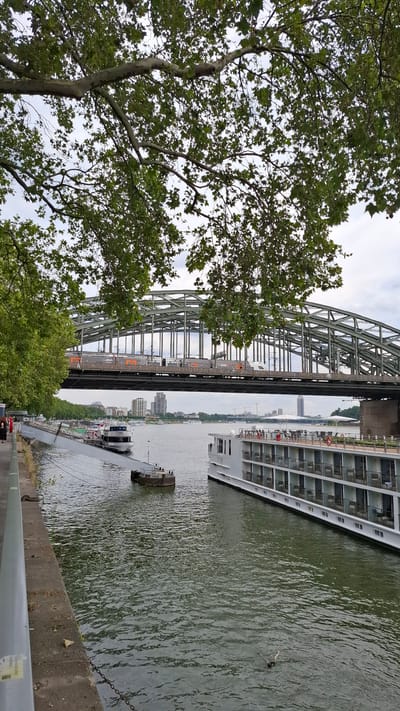 The image depicts a scene along a riverbank, with a large, multi-story white cruise ship docked on the right. The river, appearing murky green, is calm with ripples on its surface. A concrete embankment runs along the right side of the frame, with a railing in the foreground. To the left, a large metal bridge with intricate latticework spans the river, with what appears to be a train or tram on its upper deck. Trees with green foliage are prominent in the left foreground, partially obscuring the view of the bridge. In the background, a cityscape with buildings is visible across the river, under an overcast sky. A smaller dark boat is moored near the embankment. The lighting suggests it is daytime, possibly late afternoon or early evening, with diffused light due to the cloudy conditions. There is no discernible text in the image.