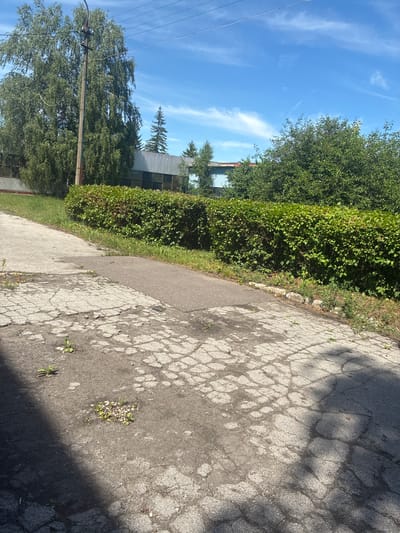 A sunny day in Kashira, Russia, shows a cracked asphalt path leading towards a well-maintained green hedge. Beyond the hedge, buildings with corrugated metal siding and windows are visible, partially obscured by lush trees. A large deciduous tree with a utility pole stands to the left, its branches reaching towards a bright blue sky with wispy white clouds. The path exhibits significant wear and tear, with weeds growing through the cracks.