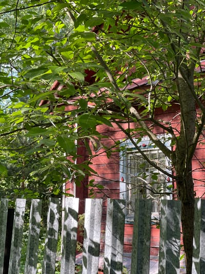 The image is an outdoor shot of a building and some foliage, possibly taken during the daytime. The building has red wooden walls and a window with a white frame. The foliage appears to be a tree with green leaves and branches, partially obscuring the view of the building. To the right of the image, there is a corrugated metal structure that casts shadows on the building. The overall impression is that of a rustic or rural setting. The image is rotated 90 degrees counterclockwise.