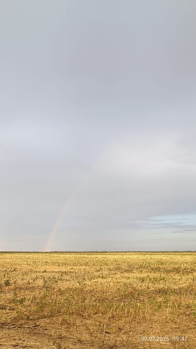 This is a vertical, eye-level, full-shot photograph of a harvested field with a faint rainbow in the sky. The field, likely in Martynivs'ke, Ukraine, is covered in stubble and dry plant matter, with some small green sprouts emerging from the soil. The horizon is flat and appears to be a treeline in the distance. The sky is overcast with a light grey hue, and the rainbow is a pale arc visible on the left side of the image. The timestamp "07.07.2026 19:47" is visible in white text on the lower right corner of the image. No people or animals are visible.