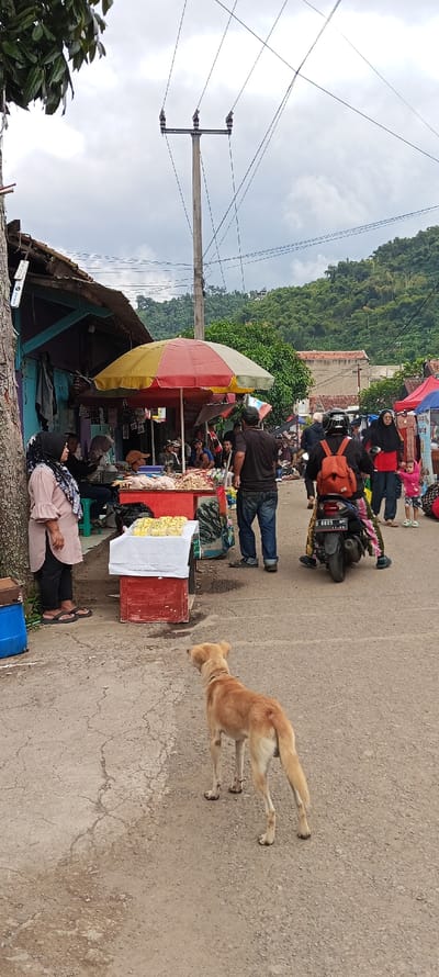 The image shows a street market in Kecamatan Kutawaringin, Indonesia, located at latitude -6.973 and longitude 107.52. There is a small, red and yellow striped canopy umbrella providing shade over a vendor's stand displaying food products. A woman wearing a pink hijab stands to the left, while a man with a backpack and a motorbike is parked to the right. A tan dog is facing the camera. The surrounding environment is a paved, dirt road with buildings and foliage in the background. The day is overcast, with a partly cloudy sky above.  There are several other people walking in and around the scene.