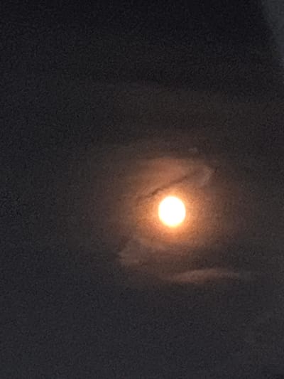 This media file is a close-up, low-resolution photograph of the moon partially obscured by clouds. The moon appears as a bright, luminous circle with a warm, orange glow, suggesting it is either setting or rising, or possibly illuminated by atmospheric conditions. Wispy, translucent clouds are visible around the moon, creating a soft, ethereal effect. The background is dark and textured, hinting at a night sky. There are no people or specific objects visible besides the celestial bodies. The overall mood is calm and perhaps a little mysterious, due to the diffused light and the cloudy atmosphere. The image was taken in Vicenza, Italy. No text is visible.