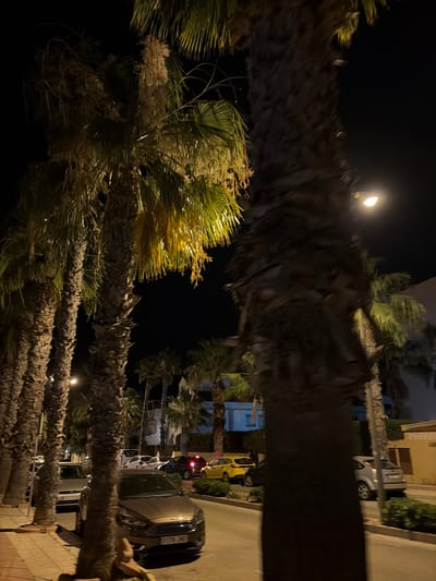 The image depicts a street scene at night, likely in a Mediterranean climate given the presence of numerous palm trees. The foreground is dominated by the thick trunk of a palm tree, which is partially obscuring the view of the street and parked cars. Several other palm trees line the street, their fronds illuminated by artificial light, creating a dramatic contrast against the dark night sky.
Several vehicles are parked along the street. The most prominent is a silver-brown hatchback in the mid-ground, facing away from the viewer. Its license plate is visible and reads "3178 JNG". To the left of this car, another silver car is parked. Further down the street, a yellow hatchback is visible, along with other vehicles and buildings in the background, including what appears to be a white residential building and a building with a yellow facade. The street itself is paved, with a sidewalk on the left side lined with potted plants or small bushes.
The lighting suggests it is nighttime, with streetlights and possibly lights from buildings illuminating the scene. The overall atmosphere is calm and quiet, typical of a residential street after dark. The location is identified as Orihuela, Spain.