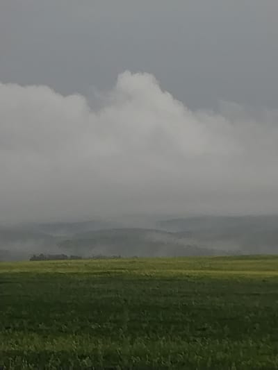 This is a landscape photograph taken in Lakly, Russia, depicting a rolling, misty countryside under an overcast sky. The foreground is dominated by a vibrant green field, possibly of crops, with a lighter green or yellow field stretching into the mid-ground. In the distance, layers of rolling hills are visible, softened by a thick mist that creates a sense of depth and atmosphere. Above the hills, large, billowy white clouds are present against a muted grey sky. The lighting is diffuse and soft, suggesting either early morning, late evening, or simply a heavily clouded day. The overall mood is serene and perhaps a little melancholic due to the mist and overcast conditions. There are no people or man-made objects prominently featured, emphasizing the natural beauty of the rural landscape. The image has a slightly painterly quality, possibly due to a filter or the image processing.