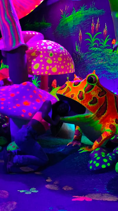 The image depicts a brightly colored scene, seemingly an art installation, possibly in a recreational or entertainment space in Binh Lu, Vietnam. Dominating the composition is a large, fluorescent frog sculpture with orange, red, and green hues, positioned to the right. To the left of the frog, a person is crouched down, facing towards the frog's open mouth. This person is wearing a cropped top with dark jeans. A series of large, artificial mushrooms in vibrant pinks, purples, and greens are clustered in the background, creating a surreal, otherworldly atmosphere. The floor and background are also brightly illuminated with neon colors. In the background, there is an imitation painting of some plants. The scene is bathed in a strong ultraviolet or blacklight, enhancing the fluorescent colors.