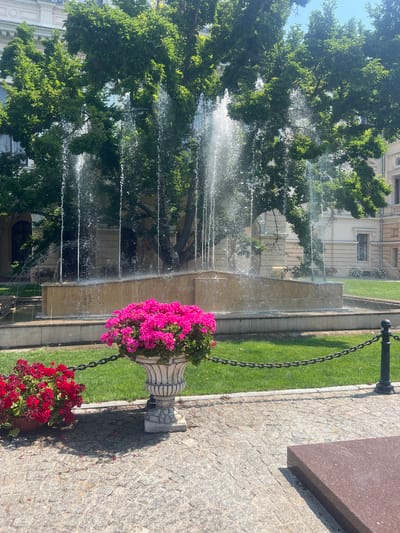 The image depicts a sunny outdoor scene in the city of Iași, Romania, featuring a fountain and floral arrangements in front of a building. In the foreground, there are two large potted plants filled with vibrant pink and red flowers. The pink flowers are in an ornate, white, carved urn, while the red flowers are in a simpler, brown pot. A dark metal chain links the two pots and a black metal post, separating the paved area from a green lawn.
Behind the flowers, a multi-tiered fountain is active, with numerous streams of water cascading down. The fountain has a light-colored stone basin and is surrounded by a lush green lawn and trees. The water streams are illuminated by the sunlight, creating a misty effect.
In the background, a grand, light-colored building with classical architectural elements, including arched windows and ornate detailing, is visible. The building appears to be a historical structure, possibly a government building or a museum, in the city center of Iași. The sky is clear and blue, indicating a pleasant day. The overall impression is one of a well-maintained public space in a European city.