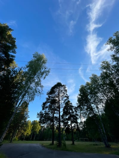 This is a vertical, low-angle shot looking up at a bright blue sky with scattered wispy clouds. Several tall trees with green foliage frame the sky, their branches reaching upwards. Power lines are visible, strung horizontally across the sky between the trees. On the right side of the frame, a paved road runs alongside a grassy area with more trees in the background. A sports goal frame is partially visible in the distance. The lighting suggests it is daytime, possibly late afternoon given the shadows. The scene appears to be a park or wooded area in Заречный, Russia. There is no visible text.