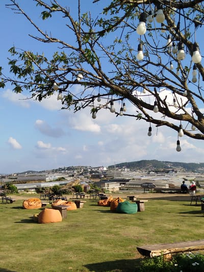 The image depicts an outdoor seating area with a scenic view of Lam Vien plateau in Da Lat, Vietnam. A large tree with numerous light bulbs hanging from its branches dominates the foreground. The tree's branches extend across the top of the frame, framing a clear blue sky with scattered white clouds. Below the tree, a lush green lawn is dotted with beanbag chairs in various colors, primarily orange and green, and low wooden tables. In the middle ground, more chairs and tables are visible, suggesting a cafe or recreational area. Beyond the seating area, a sprawling landscape unfolds, characterized by rows of greenhouses, a common sight in Da Lat for agriculture. Further in the distance, a town with houses and buildings is nestled on rolling hills, leading to a mountain range under the sky. Two individuals are seated on a bench in the far right of the frame, facing the landscape, one wearing a red top and the other a blue top. A sign with Vietnamese text, "CHÊNH VÊNH," is visible in the middle ground. The overall atmosphere is serene and offers a panoramic view of the city and its surrounding agricultural areas.