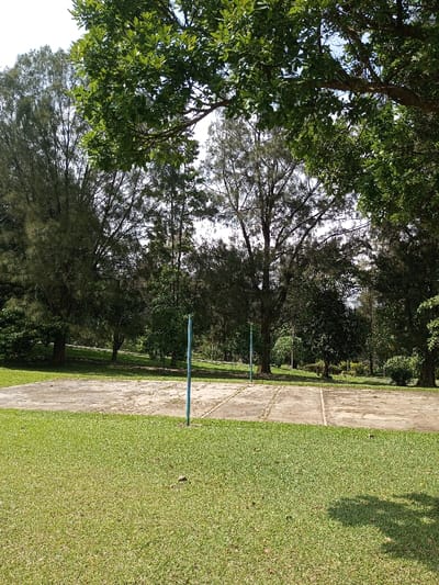 A sunny outdoor scene features a concrete court with faded lines and two blue poles, likely for volleyball. The court is surrounded by a vibrant green lawn. Tall, mature trees, some with feathery foliage, line the background and overhang the scene, casting shadows. A patch of dense shrubs is visible to the right of the court. The overall atmosphere is tranquil and natural.
