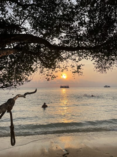 The image captures a sunset over a beach in Ko Tao, Thailand. The upper portion of the frame is dominated by the silhouette of a tree with dense foliage and branches extending horizontally, with a bare branch curving down into the lower-left foreground from which a knotted rope hangs. The sky transitions from a light grey-blue at the top to warm orange, yellow, and red hues near the horizon, where the sun is visible as a bright disc, casting a strong golden reflection across the calm water.
In the mid-ground, three individuals are partially submerged in the water. One person is waist-deep slightly to the left of the sun's reflection, while two others are further out towards the horizon. Two boats are present on the water's surface in the distance: a larger multi-deck vessel is positioned centrally on the horizon, directly within the sun's reflection, and a smaller vessel is visible further to the right. The immediate foreground consists of wet, sandy beach with small waves gently breaking and faint footprints visible in the sand.