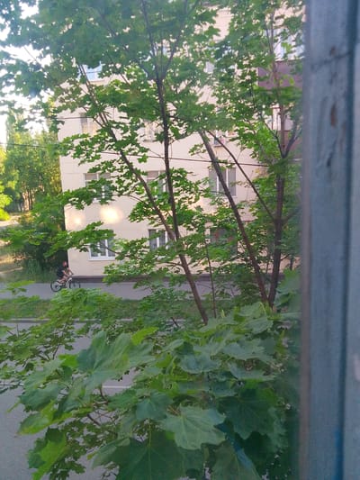 The image depicts a person riding a bicycle on a paved path alongside a building and trees. The building appears to be an apartment block with several windows. Lush green foliage from trees partially obscures the view of the building and the path. The lighting suggests it is daytime, possibly late afternoon or early morning, with sunlight casting shadows. The scene is likely urban or suburban, given the presence of the building and paved path. The person on the bicycle is wearing dark clothing and appears to be casually riding. The overall mood is serene and ordinary. The image seems to be taken from a higher vantage point, looking down at the scene. There is no visible text in the image. The setting in Lipetsk, Russia, provides a geographical context for this everyday urban scene.