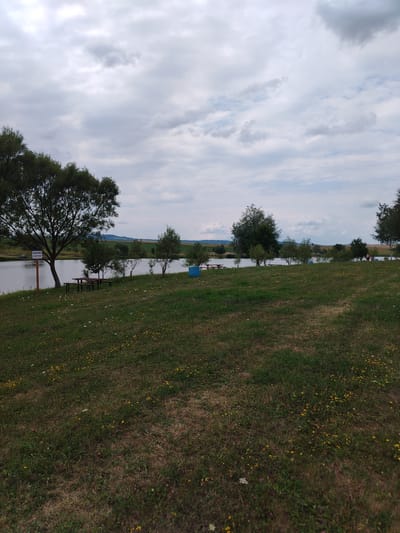 The image depicts a serene lakeside scene in Hodyliv, Ukraine, under a cloudy sky. The foreground is dominated by a grassy meadow dotted with small yellow wildflowers. Several picnic tables are visible on the grassy bank overlooking a calm body of water. A large tree with dark green foliage stands prominently to the left of the frame, near a sign that reads "КУПАТИСЯ ЗАБОРОНЕНО" (Swimming is prohibited). Along the opposite bank of the lake, a line of trees and bushes can be seen, with a few figures walking in the distance. The landscape beyond the lake features rolling hills and fields. The overall impression is one of a tranquil, natural setting, likely a park or recreational area.