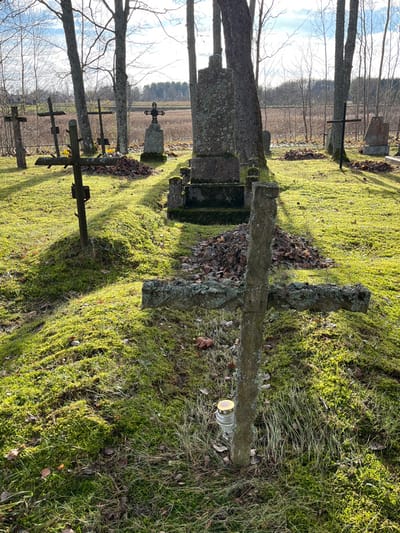 The image depicts a cemetery located in Strigailiškis, Lithuania, under a clear sky. In the foreground, a moss-covered stone cross is prominent, with a clear glass grave candle featuring a yellow cap positioned at its base to the right. The ground consists of green moss, dry grass, and scattered brown leaves. The midground contains multiple grave markers: several dark metal crosses are visible to the left, one with a small cluster of yellow flowers at its base, surrounded by fallen leaves. To the right, a large, rectangular stone monument heavily covered in moss and lichen stands. Piles of dark brown leaves are distributed across the grave sites. Bare-branched trees with light-colored trunks are interspersed throughout the cemetery. Beyond the trees, a flat, light brown field extends into the background beneath a pale blue sky. Sunlight from the left casts distinct shadows and highlights on the moss and gravestones. No persons are depicted in the scene.