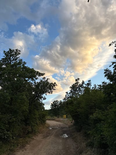 A dirt road winds through a verdant landscape, flanked by dense, dark green trees that create a natural corridor. The road surface is uneven, showing signs of recent rain with puddles reflecting the sky. In the distance, a bright yellow structure, possibly a fence or gate, is visible, adding a splash of color against the natural backdrop. The sky above is a dramatic canvas of swirling clouds, with patches of blue sky peeking through. The clouds are illuminated by the warm glow of the setting sun, casting hues of yellow and orange across the scene. The overall atmosphere is one of tranquility and natural beauty, with a hint of human presence in the form of the road and the distant structure. The scene appears to be located in Malyi Mayak, Ukraine, a coastal town known for its picturesque landscapes.