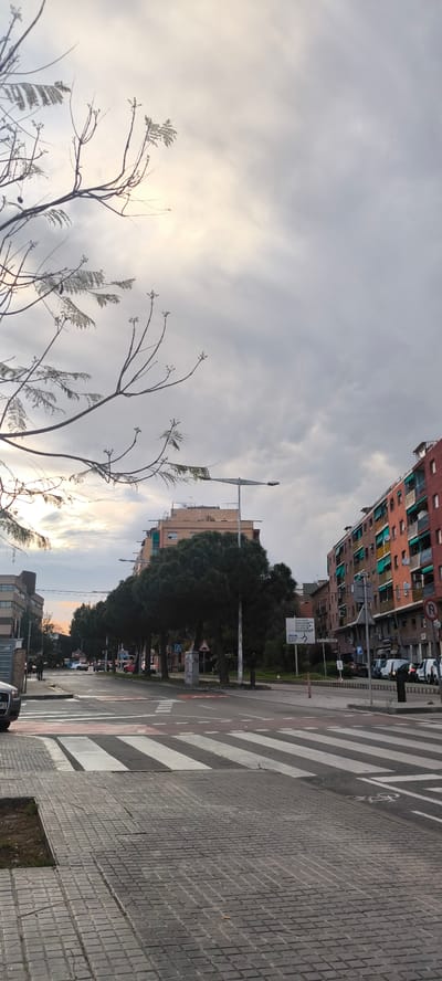 The image shows a street scene in Ripollet, Spain, likely taken during the late afternoon or early evening under an overcast sky.

Foreground:
A crosswalk with white stripes is prominent, leading from the sidewalk made of gray cobblestones. A small patch of bare soil is adjacent to the sidewalk.

Middle Ground:
The street is paved with gray asphalt and features a central median planted with trees. Street signs are visible along the median. In the distance, cars are parked along the sides of the street. Several people are walking on the sidewalks.

Background:
Buildings line both sides of the street. On the right, a tall residential building with multiple balconies and windows is visible, painted in shades of red and orange. On the left, another building with a lighter color palette can be seen. The sky is covered with gray clouds, with a glimpse of sunset visible on the horizon. A bare tree branch is visible in the upper left corner.