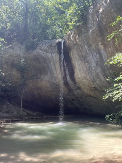 The image depicts a scenic natural landscape with a waterfall cascading into a pool of water. The waterfall originates from a large, textured rock face that forms a natural overhang, creating a cave-like recess behind the falling water. Lush green trees and foliage surround the rock face and the top of the waterfall, indicating a wooded environment. The pool at the base of the waterfall is calm, with sunlight creating patterns of light and shadow on its surface. The surrounding ground appears to be natural earth and rock. The image shows no people or man-made structures, suggesting a remote or natural location.