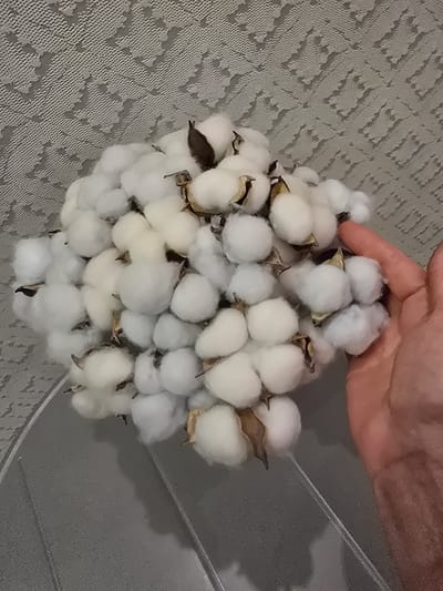 A cluster of cotton bolls is arranged on a textured grey surface, possibly a table or countertop. A human hand, with visible fingers, is positioned on the right side of the frame, partially obscuring some of the cotton bolls and appearing to be interacting with them. The background features a grey, patterned fabric or wallpaper. The lighting suggests an indoor environment. The location is identified as Sofiivska Borshchahivka, Ukraine.