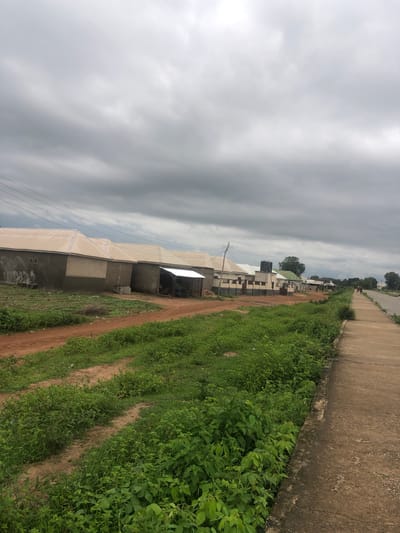 The image depicts a street scene in the city of Wukari, Nigeria. The sky is overcast with heavy, gray clouds. On the left side of the image, a row of houses with light-colored, sloped roofs are visible. Some of these houses appear to be under construction, with unfinished facades and exposed brickwork. A dirt road with tire tracks runs alongside the houses, bordered by dense green vegetation. To the right of the vegetation is a paved sidewalk or path, which runs parallel to a paved road. A few people can be seen walking on the road in the distance. Power lines are visible overhead, strung between utility poles. The overall impression is of a developing residential area on a cloudy day.