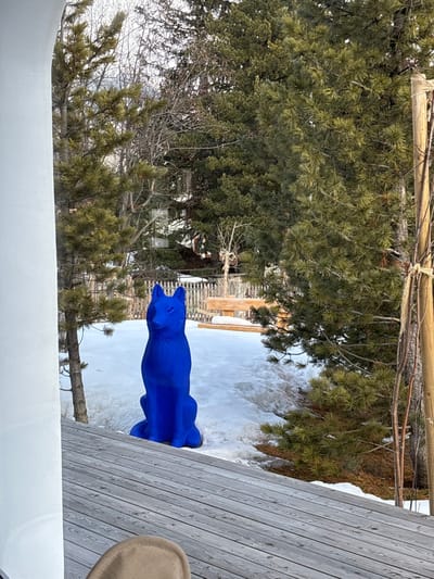 A blue,  sitting fox sculpture stands on the snow-covered ground in front of a wooden deck.  The fox is facing the camera, and the wooden deck is located in front of a white building. The deck is made of light-colored wooden planks and is slightly slanted downwards towards the snow. There is a white building with a white overhang. The fox appears to be made of a smooth, solid material. The snow is mostly melted, leaving patches of white.  The scene is taken from a low angle, and the  fox is in focus.  The background includes several coniferous trees and a wooden bench. The image is taken in Celerina/Schlarigna, Switzerland.