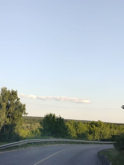 The image depicts a rural road curving to the right, bordered by a metal guardrail. Dense green foliage, including trees and bushes, lines the far side of the road, with a hint of a distant forest on the horizon. The sky above is a pale blue with a few wispy clouds. There are no people or animals visible in the scene. The setting appears to be outdoors in a natural environment.