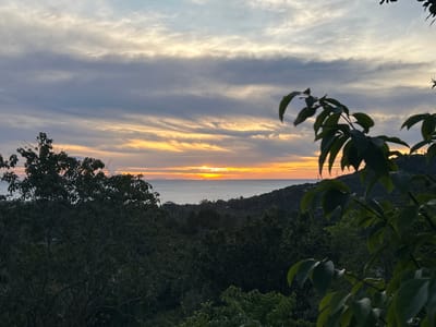 The image captures a sunset over the ocean, observed from an elevated position in Baan Hin Kong, Thailand. The foreground is dominated by lush green foliage, with tree branches and leaves partially obscuring the view. Beyond the trees, the ocean meets the horizon, illuminated by the setting sun. The sky is filled with horizontal bands of clouds, transitioning from shades of gray and blue to orange and yellow near the horizon, where the sun is setting. Hilly terrain is visible on the right side of the image, adding depth to the landscape. Several boats are scattered on the ocean.