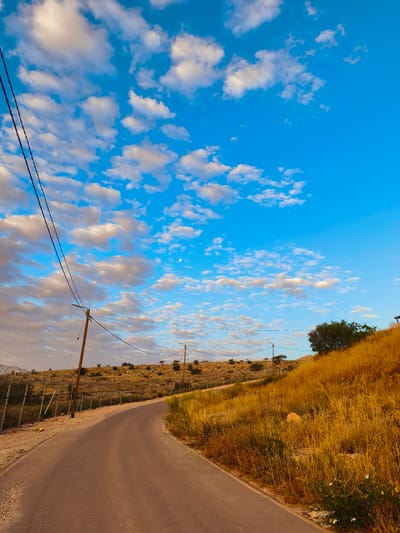 The image presents a serene, open landscape, likely captured during the golden hour of either dawn or dusk, indicated by the warm, directional light. A narrow, asphalt road gently curves away from the viewer towards the horizon, framed by rolling, arid hills.
The sky is a vibrant blue, filled with numerous scattered white cumulus clouds that exhibit soft orange and pink hues from the low sun. A faint, nearly full moon is distinctly visible in the upper right quadrant of the sky.
On the left side of the road, a series of wooden utility poles with overhead power lines run parallel to the road. Below the lines, a tall fence, appearing to be chain-link topped with barbed wire, borders the road, separating it from a dry, rocky hillside dotted with sparse trees and bushes.
To the right, a steep embankment is covered in thick, dry, golden-yellow grass and sparse shrubs, extending up to the top of the hill. A few small, green trees are visible further up the hillside. The overall setting suggests a rural or semi-desert environment, consistent with the Lachish Regional Council in Israel. There are no people visible, and no discernible text appears in the image. The scene conveys a sense of peaceful solitude and the natural beauty of a dry, Mediterranean landscape.