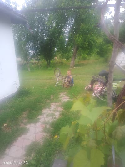 The image depicts an outdoor scene in Sestrynivka, Ukraine, characterized by lush greenery and a rustic setting. In the mid-ground, a young boy, appearing to be of preschool age, is crouched near a bicycle that is resting on its side. The boy is wearing a blue tank top. Another bicycle is visible further to the right, also on the ground, with a portion of a person's leg in pink clothing visible beneath it. The environment consists of a grassy yard with a paved walkway made of reddish and grey tiles. In the background, trees and foliage suggest a natural, possibly rural, landscape. A white building is partially visible on the left, and what appears to be a wooden structure or trellis is present on the right. The overall atmosphere is one of casual outdoor activity, possibly a moment of play or rest.