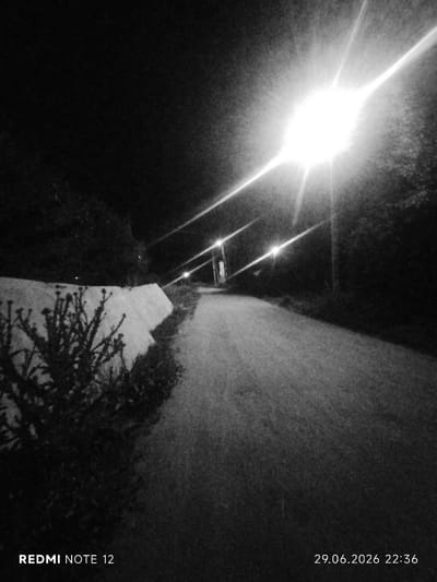 This is a black and white, low-light photograph taken at night, likely on a paved pathway or road. The scene is illuminated by several streetlights, one of which is prominently positioned in the upper right quadrant of the image, casting a bright glare and creating light streaks. The pathway recedes into the distance, bordered on the left by a low, light-colored wall or embankment covered in patches of vegetation. Dense, dark foliage and trees are visible on the right side of the pathway and in the background, suggesting a natural or park-like setting. The overall mood is dark and somewhat atmospheric, emphasizing the artificial light in the natural darkness.
The image contains visible text at the bottom. In the lower left corner, it reads "REDMI NOTE 12," indicating the device used to capture the photo. In the lower right corner, there is a timestamp: "29.06.2026 22:36." This suggests the photograph was taken on June 29, 2026, at 10:36 PM. No people are visible in the frame. The setting appears to be a quiet, possibly rural or suburban, outdoor area at night. Given the location context provided, this pathway could be within Ak-Suu, Kyrgyzstan, perhaps a street or a path in a park.