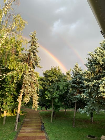 The image captures a natural scene featuring a double rainbow arching across a cloudy sky. The foreground is dominated by various trees, including pine and deciduous varieties, with lush green foliage. Sunlight filters through the branches, illuminating parts of the scene. To the right, a paved pathway with a pattern of red and yellow bricks winds through a grassy area. Several lampposts are visible along the path, and there is a glimpse of what appears to be a concrete structure at the very top of the image. The overall impression is one of a park or garden setting, possibly after a rain shower, given the presence of the rainbow. The lighting suggests it could be late afternoon or early evening. No people are visible in the frame. There is no discernible text in the image.