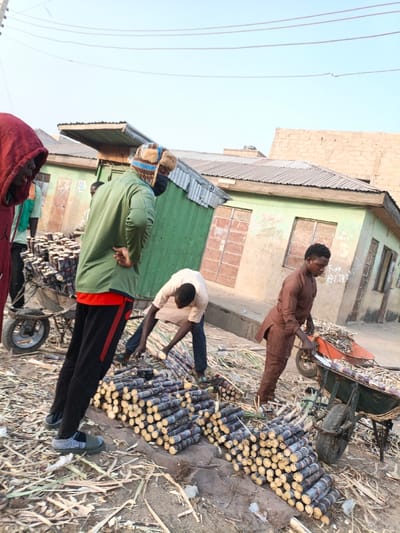 Men chop sugarcane in an outdoor market. One man in a brown shirt uses a knife, and another in a white shirt uses his hands to chop the stalks. Piles of sugarcane are stacked. A third man with a hat and green shirt, as well as a person in a red hoodie, appear to be overseeing the chopping. Buildings are in the background.
