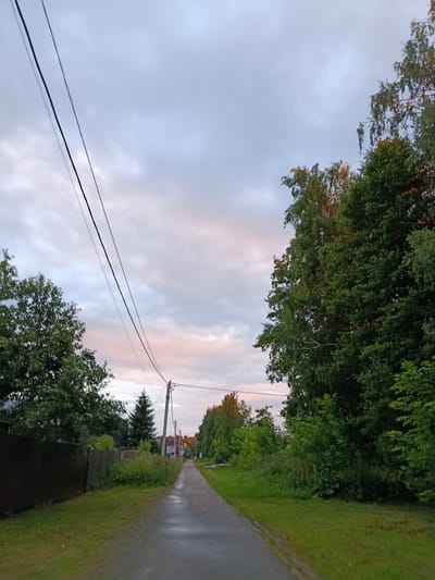 This is an outdoor, eye-level shot of a paved path leading into the distance in Vareya, Russia. The sky is overcast with soft pink and gray clouds. Trees with green foliage line both sides of the path. Power lines are visible in the upper left and upper right of the image, stretching across the sky. A dark metal fence runs along the left side of the path in the foreground. In the distance, houses and more trees are visible. The path appears wet, suggesting recent rain.