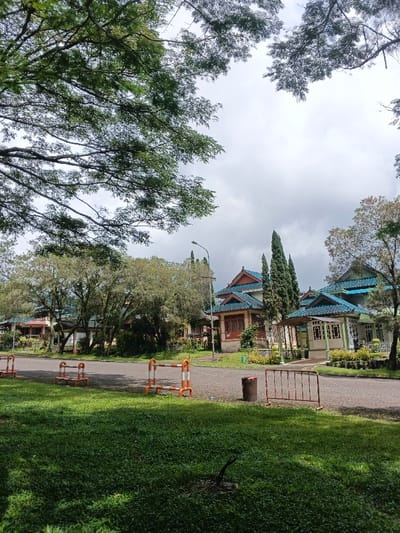 The image displays an outdoor scene in ឃុំ ផាត់សណ្ដាយ, Cambodia, under an overcast sky. The foreground consists of a vibrant green lawn, where a dark, broken branch or stump is visible near the bottom center. A paved, dark grey asphalt road traverses the midground, curving from left to right. Three portable orange and white striped road barriers are positioned on the grassy verge to the left of the road. On the right side of the road, a rusty metal barrier stands adjacent to a dark, cylindrical object, possibly a bollard or bin. Beyond the road, a cluster of multi-story buildings with distinctive traditional Southeast Asian architecture is visible. These structures feature prominent gabled roofs in a teal color, light-toned walls, and dark brown accents around windows and doors. One building on the far right includes a covered exterior walkway. The environment is heavily vegetated with various trees: a large deciduous tree with green foliage dominates the upper left and center, while numerous smaller trees line the road and dot the landscape around the buildings. Several tall, slender coniferous trees are clustered near the buildings on the right. A black street light pole with a luminaire is visible on the left side of the road, with a utility pole positioned further back amidst the trees. No individuals are present in the scene.