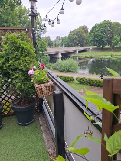 This is a medium shot of a balcony with a railing, looking towards a river and a bridge in the city of Pila, Poland. In the foreground, to the left, is a tall, green conical evergreen tree in a dark pot, with a decorative lattice screen behind it. To the right of the evergreen, a small wicker basket hangs from the railing, containing pink and red flowers. The railing is black with white trim. Beyond the railing is a river with dark water, bordered by a paved path and green grass. In the middle ground, a pedestrian bridge crosses the river, with trees on either side. A lone person in a dark jacket and white shorts walks on the path beside the river. In the background, more trees and a cloudy sky are visible. The scene appears to be outdoors, possibly in a public park or restaurant with a view of the river.
