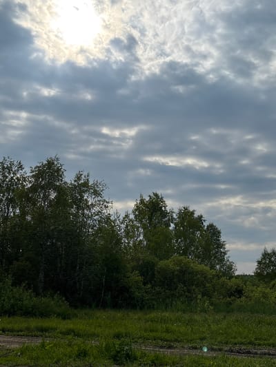The image captures a landscape view of a wooded area and a cloudy sky, possibly in Semenkovo, Russia. In the foreground, a patch of tall green grass and dirt is visible, with tire tracks suggesting recent vehicle activity. Beyond the grass, a dense line of trees forms a natural barrier, with varying shades of green indicating different types of foliage. The sky above is filled with a mixture of grey and white clouds, with bright sunlight filtering through in some areas, creating a diffused illumination across the scene. There are no people or animals present in the image.