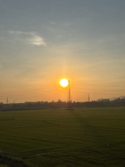 The image depicts a sunset over a rice paddy field in An Hao, Vietnam. The sun, a bright orange orb, is positioned in the center of the frame, slightly to the left, casting a warm glow across the sky. A prominent electrical tower stands tall in the foreground, directly beneath the sun, with power lines stretching horizontally across the scene. The rice field is a lush green expanse, showing subtle patterns from the cultivation process. In the background, a line of trees and distant hills are silhouetted against the vibrant sky. The overall atmosphere is serene and tranquil, characteristic of a rural landscape at dusk.
